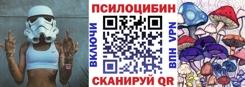 Купить где  Каргат  Псилоцибиновые грибы Cubensis 